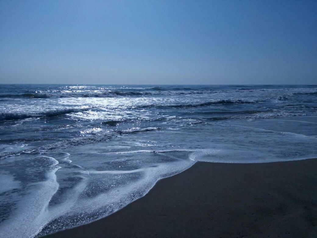 Terrasses De La Mediterranee فلوري المظهر الخارجي الصورة